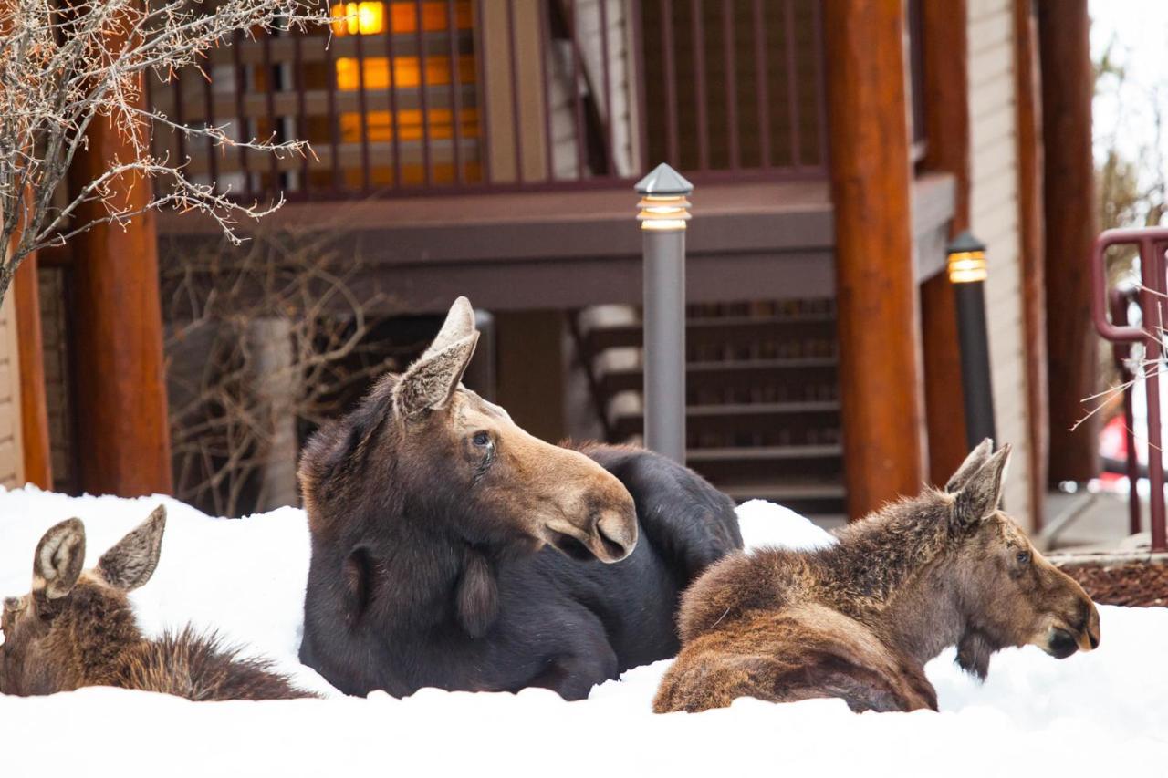 Antlers Villa Steamboat Springs Exteriör bild